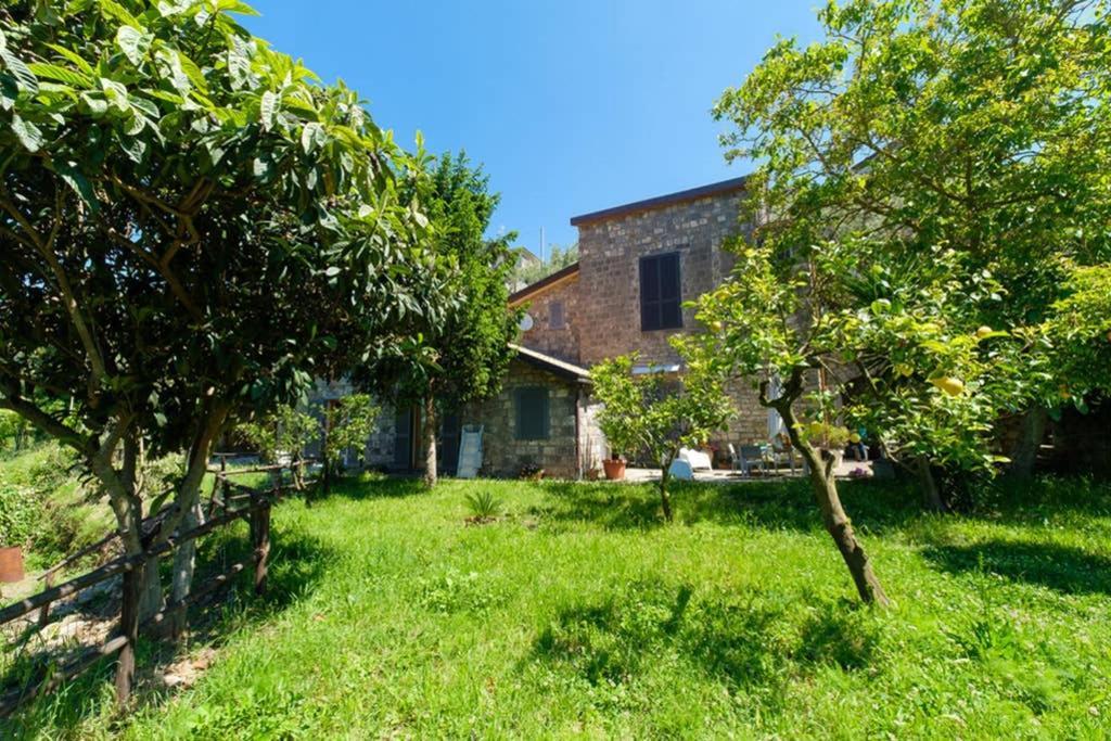 Villa Domus Aqua Viva Massa Lubrense Esterno foto